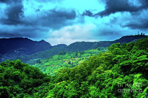 baguio region|baguio mountain.